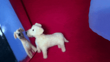 Looks Familiar Self Awareness GIF by ELFvid