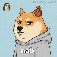 Over It No GIF by Doge Pound