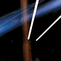 GIF by Komplex