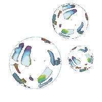 Bubbles Sticker