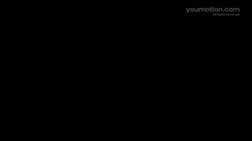 Celebration Logo Reveal