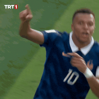 France Win GIF by TRT