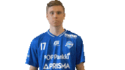 F-liiga floorball salibandy innebandy f-liiga Sticker