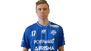 F-liiga floorball salibandy innebandy f-liiga Sticker