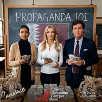 Megyn Kelly Qatar GIF