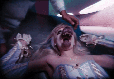 Dog Show GIF by Jazmin Bean