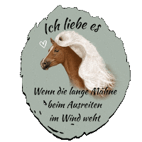 Wind Sticker by OHD