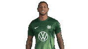 Three Points Win Sticker by VfL Wolfsburg