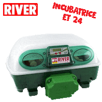 Eggs Chicks Sticker by River Systems