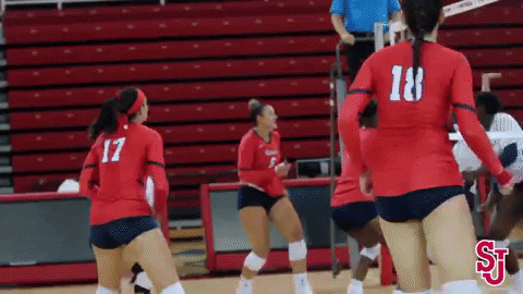 St Johns Volleyball GIF by St. John's Red Storm
