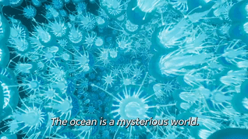 The Ocean Is A Mysterious World