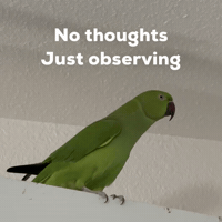 Suspicious Reaction Gif GIF