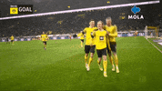 Happy Borussia Dortmund GIF by MolaTV