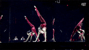GIF by Italia's Got Talent