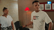 Inimbamzansimagic GIF by DStv