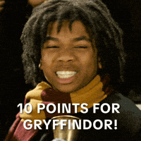 Warner Bros Celebration GIF by Harry Potter