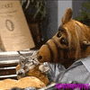 1980s tv 80s GIF by absurdnoise