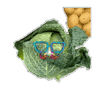 Brille Cabbage Sticker