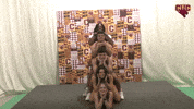 Wtf GIF by CUCougars