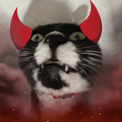 Cat Demon Devil GIF