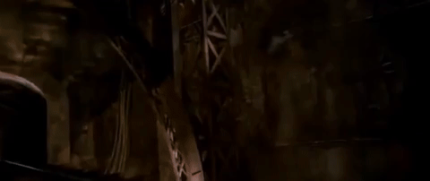 d4b123123r32513244 giphyupload GIF