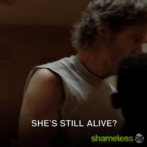 Episode 2 Showtime GIF by Shameless