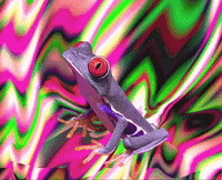 GIF by Canek