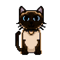 Cat Kitty Sticker