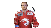 Ice Hockey Sticker by HC Oceláři Třinec