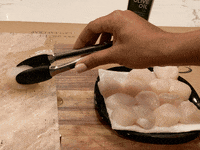 Seafood Scallops GIF by The Crab Place