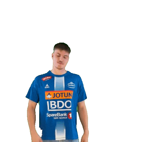 Rema1000Ligaen Sticker by Norsk Topphåndball