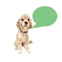 Cocker Spaniel Thank You Sticker by Camp Cocker Rescue