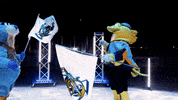 GIF by Toledo Walleye