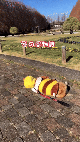 cuteanimalland giphyupload GIF