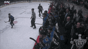 happy ice hockey GIF by NHL