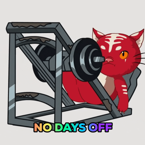 Cat Fitness GIF by Kitaro World