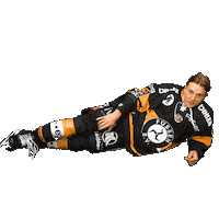 Hockey Fuessen Sticker by EV Füssen