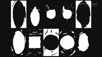 Liquid fluid animation graphics pack series motion graphics
