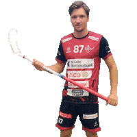 Goal Tor Sticker by UHC Sarganserland