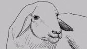 Art Morph GIF by Duilio Gatti