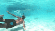 alessandromarras- alessandro viaggi coollife alemarras GIF