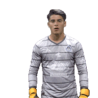 Mazatlan Tamayo Sticker by Mazatlán F.C.