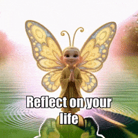 GIF by BuddhaFlyJourney