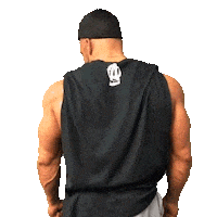 Fitness Workout Sticker by Universal Nutrition Europe