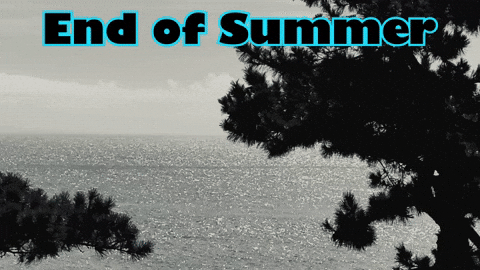 Pine Tree Goodbye GIF by KaoruHironaka