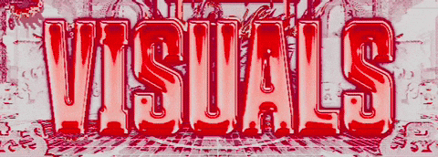 Visuals Buddy GIF