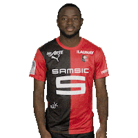 Ligue 1 Football Sticker by Stade Rennais F.C.