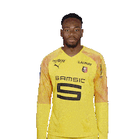 Ligue 1 Football Sticker by Stade Rennais F.C.