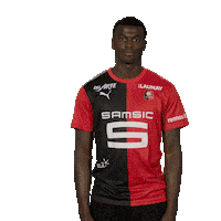 Ligue 1 Football Sticker by Stade Rennais F.C.