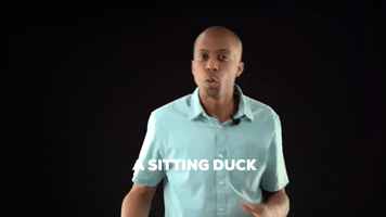 A Sitting Duck